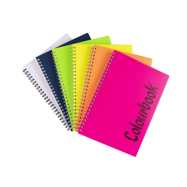 Quaderno Spiralato A5 Colourbook 1 Rigo Colori Assortiti su linait