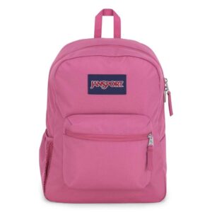 Zaino Jansport CROSS TOWN 26 LT mono scomparto Mauve Haze su linait