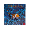 Calendario Da Parete Grande 12 Mesi Legami 2027 30x29 cm Under The Sea su linait