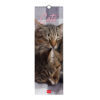 Calendario Da Parete 12 Mesi Legami 2027 16x49 cm Cats su linait